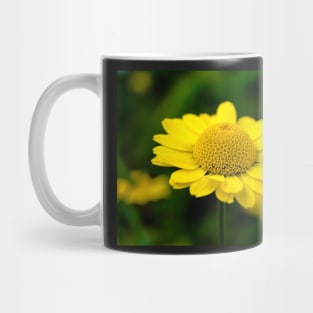 Yellow Anthemis on the dark background Mug